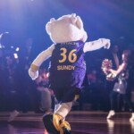 渋谷のマスコット サンディー